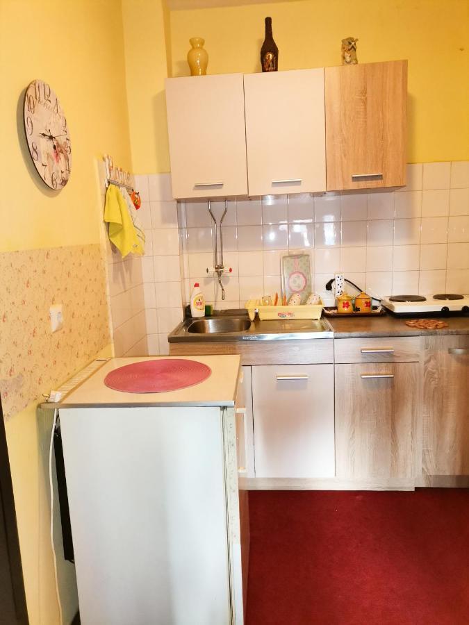Apartment Andjela Златибор Екстериор снимка