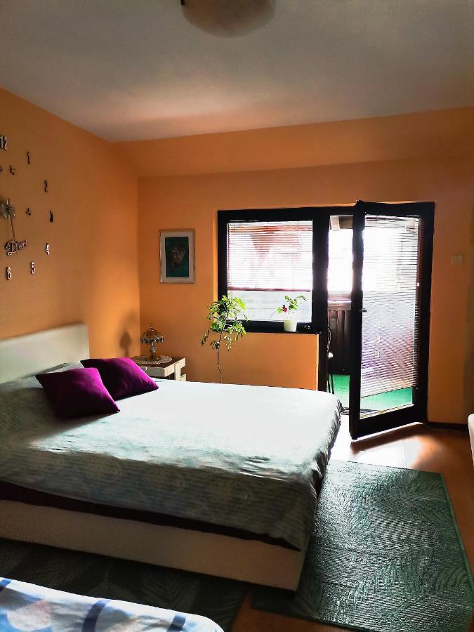 Apartment Andjela Златибор Екстериор снимка