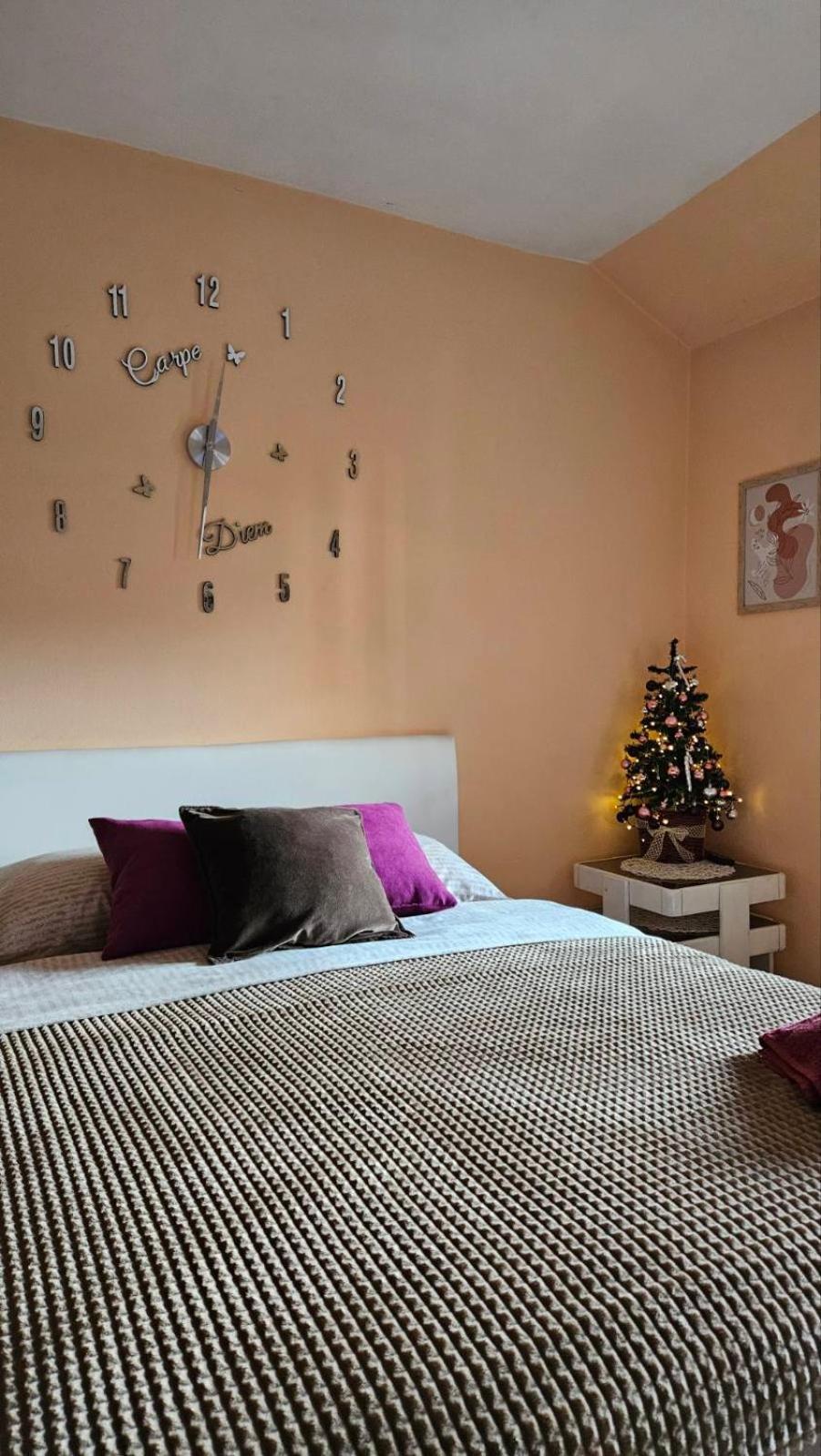 Apartment Andjela Златибор Екстериор снимка